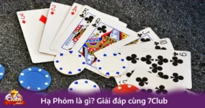 Hạ phỏm là gì? Khái niệm cơ bản về trò chơi phỏm